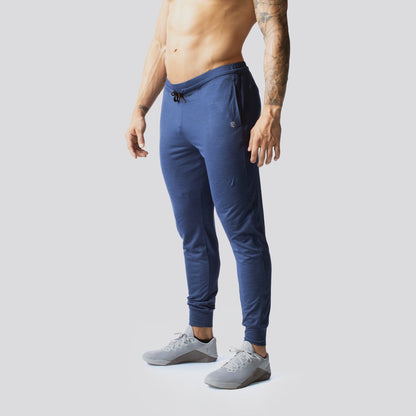 Men's Rest Day Athleisure Jogger (Navy Blue)
