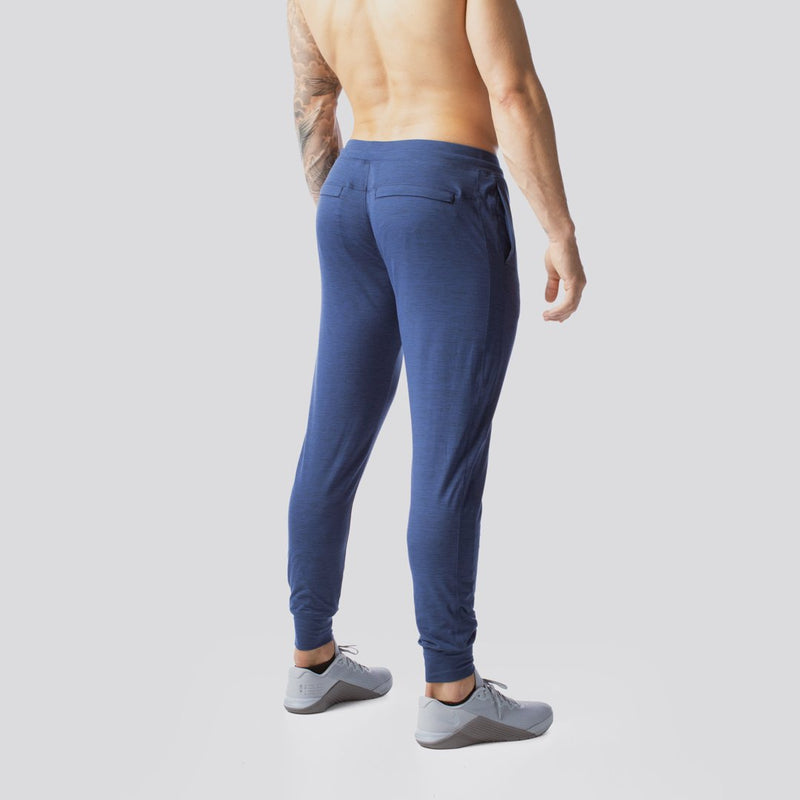 Men's Dark Blue Workout Joggers  Dark Blue Sweatpants – bornprimitive  canada